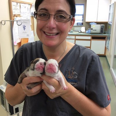 Team member holding two newborn puppies in the office and smiling.