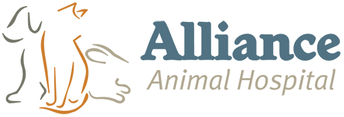 AllianceAH Logo horizontal