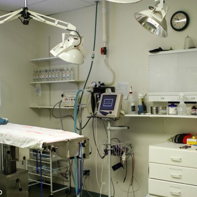Surgery room including exam table, lights, cabinets and other medical supplies